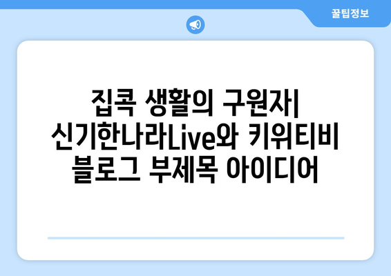 집콕 생활의 구원자: 신기한나라Live와 키위티비