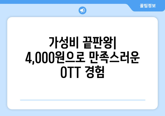 달에 4,000원으로 OTT 이용 가능한 플랫폼