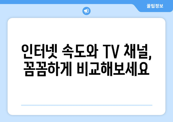 KT 인터넷 TV 가입 요금제 비교