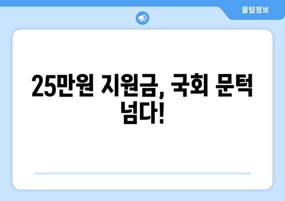 이재명의 25만원 지원금 법안, 국회 통과