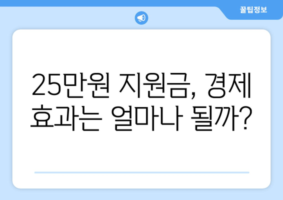 경제 이슈 분석: 25만원 민생 지원금