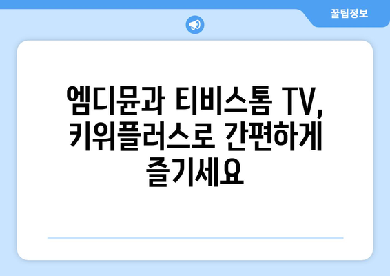 키위플러스 기기로 엠디뮨와 티비스톰 TV 시청 즐기기