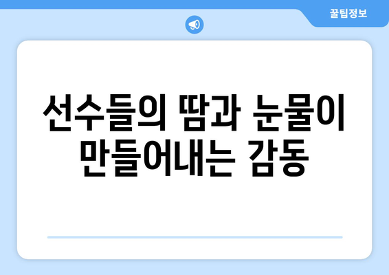 스포츠 중계의 인간적인 측면