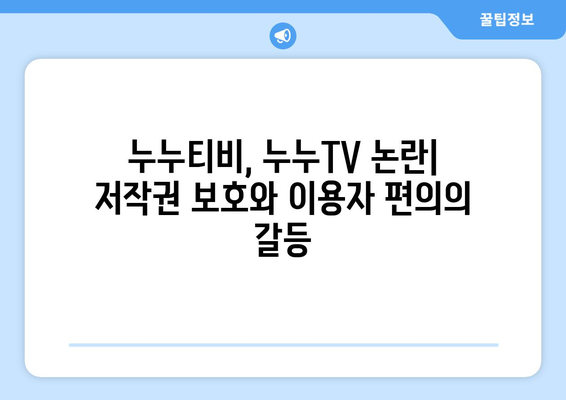 누누티비, 누누TV에 대한 리뷰: 불법이지만 유용성 인정