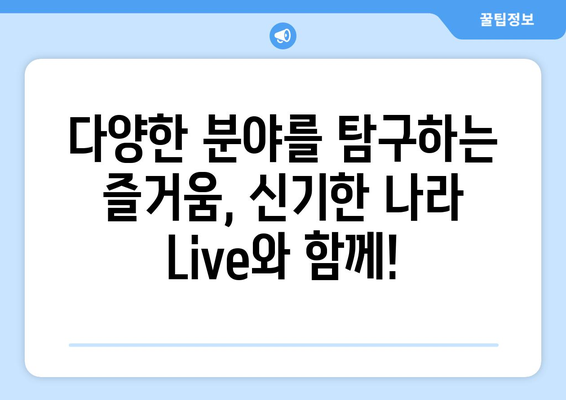 홈스쿨링을 위한 최고의 선택, 키위티비와 신기한 나라 Live