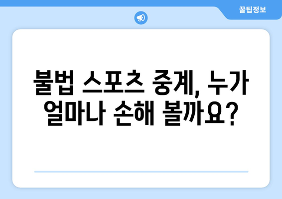 불법 스포츠 중계의 경제적 비용