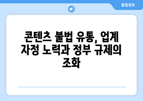 제2의 누누티비 막기 위한 매출 10억 이상 콘텐츠 전송업체 책임