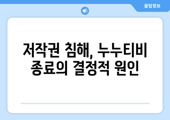 누누티비 종료 이유 분석