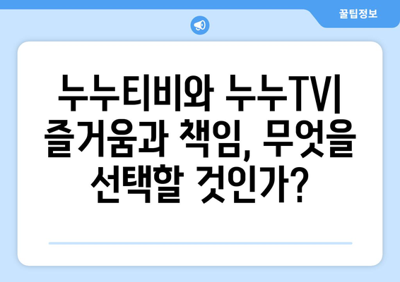 누누티비와 누누TV: 우수성과 불법성