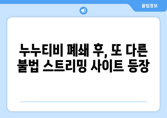 제2의 누누티비 기승, K-콘텐츠 울리는 불법 스트리밍