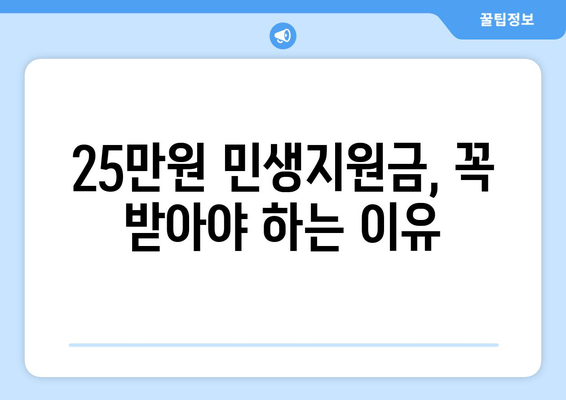 25만원 민생지원금: 생활유지비 지원에 필요한 자금 마련