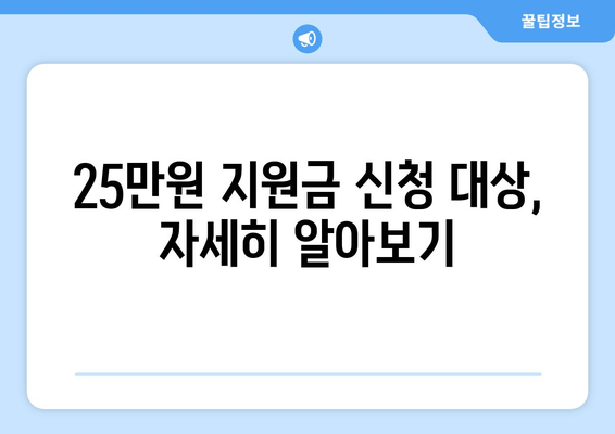 25만원 민생 지원금: 신청 대상 요약