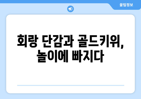 놀아주세요를 하는 회랑 단감과 골드키위