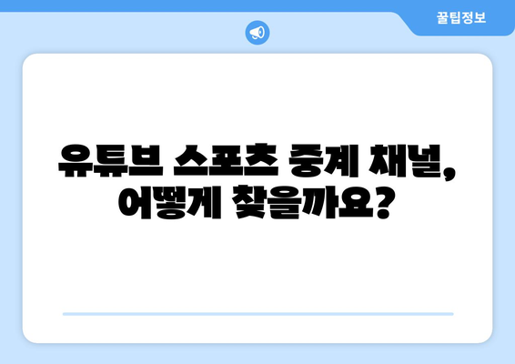 실시간 스포츠 중계를 위한 유튜브 활용