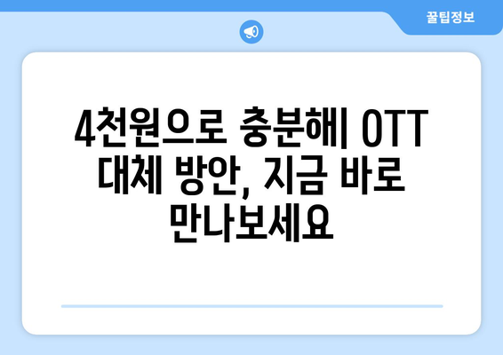 한 달 4,000원의 OTT 대체 방안 소개