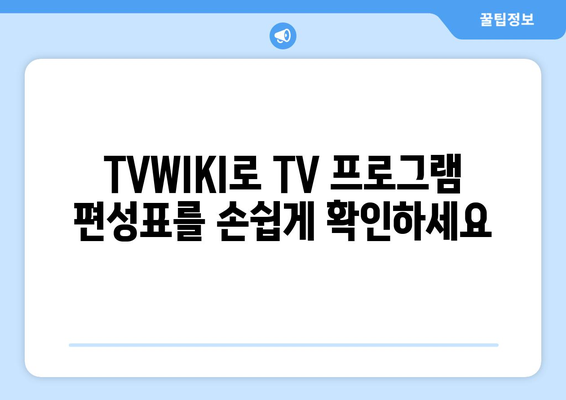 TVWIKI를 통한 TV 프로그램 편성표와 보안