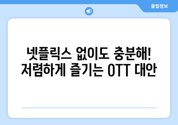 한 달 4,000원의 OTT 대체 방안 소개