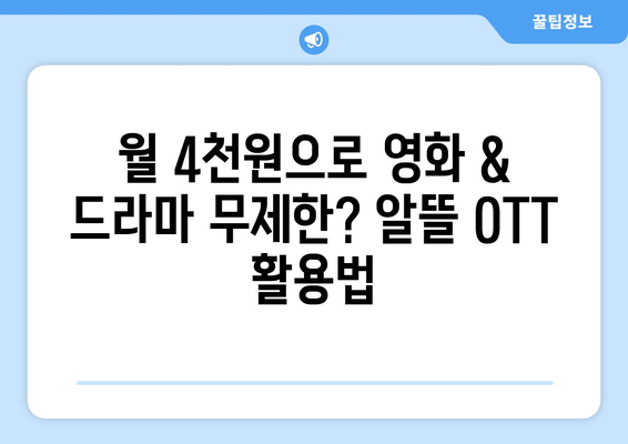 한 달 4,000원의 OTT 대체 방안 소개