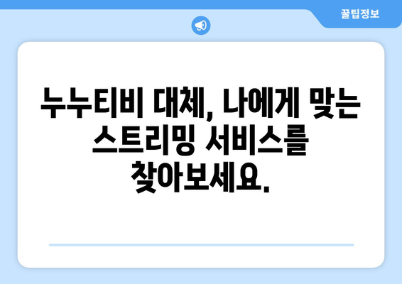 누누티비 대체 가능한 사이트 추천: 법적 옵션 선택