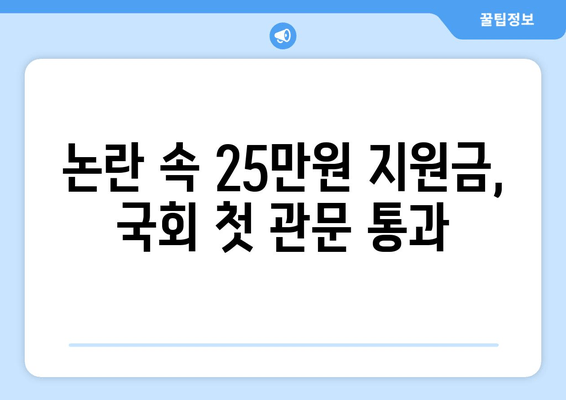 "25만원지원금" 논란이 국회 안보위 통과