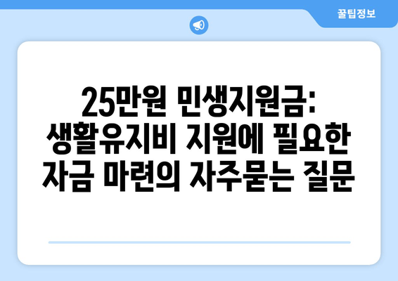 25만원 민생지원금: 생활유지비 지원에 필요한 자금 마련