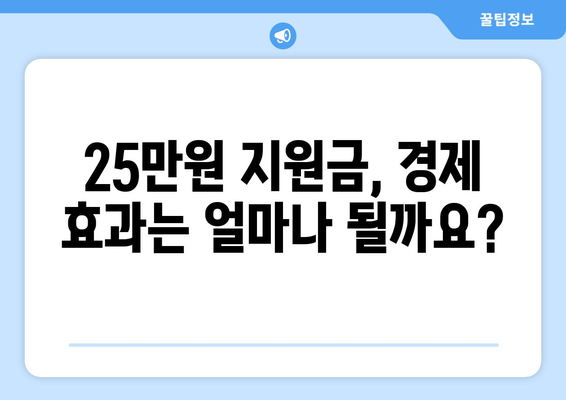 민생 회복을 위한 25만원 지원금: 검토가 필요한 사항