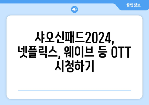 샤오신패드2024에서 유튜브, 누누티비 등 동영상 시청법