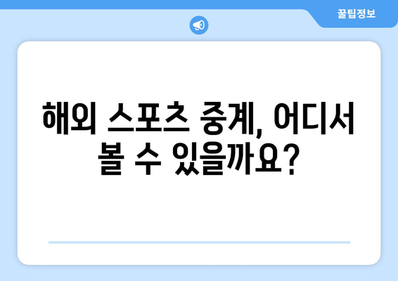 해외 스포츠 중계 다시 보기 및 실시간 시청 방법