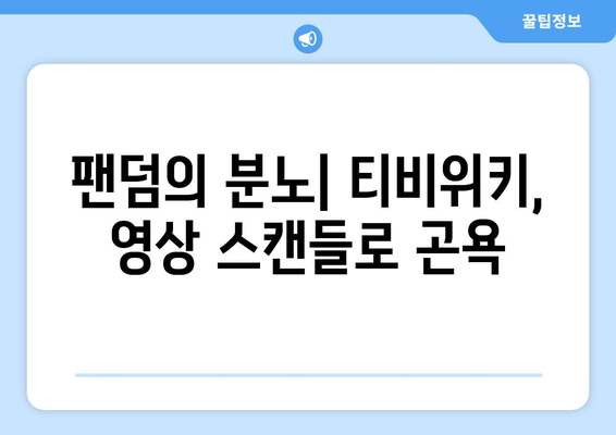 영상 스캔들과 티비위키: 팬들과 소통 논란