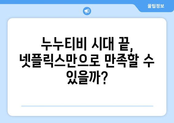 누누티비 종료, 넷플릭스 대체 불가