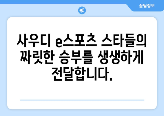 사우디 e스포츠 일정 및 중계 안내