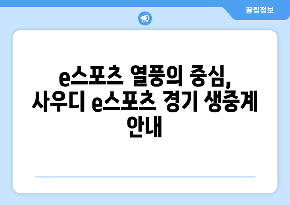 사우디 e스포츠 일정 및 중계 안내