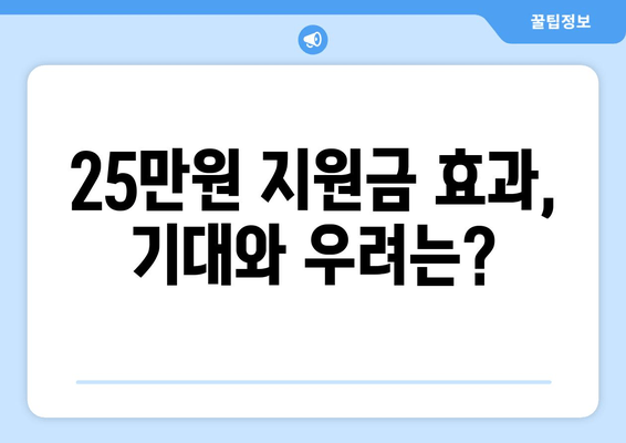 경제 회생의 원동력: 25만원 지원금에 거는 기대