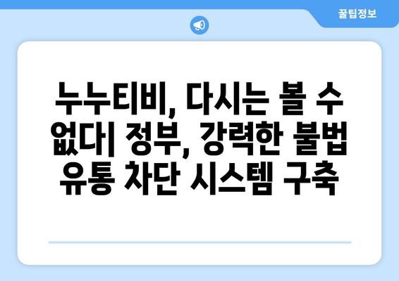 누누티비 재발 방지: 정부, 불법 정보 유통 차단 추진