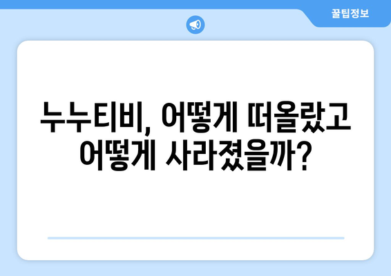 누누티비 엔터테인먼트: 불법 스트리밍 사이트의 흥망 성쇠