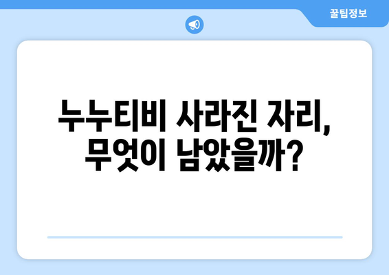 누누티비 재발 방지: 정부의 불법정보 유통 차단 대책