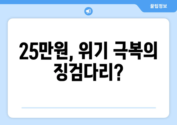 25만원 지원금: 불안한 시기를 위한 임시 조치인가 장기적인 사회적 안전망의 기초인가?