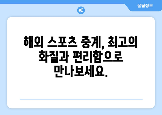 해외 스포츠 중계 실시간 시청하기