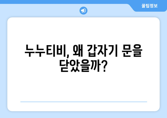 누누티비 종료 사유: 자체 앱까지 발표했는데?