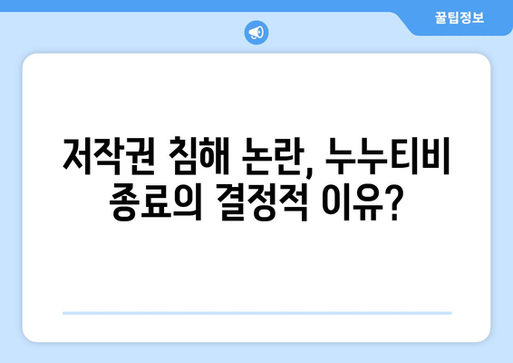 누누티비 종료 이유 탐구