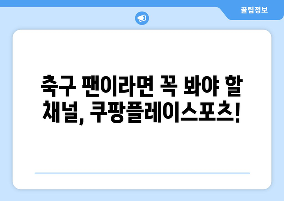 쿠팡플레이스포츠에서 K리그 및 분데스리가 전 경기 중계 (2024년)