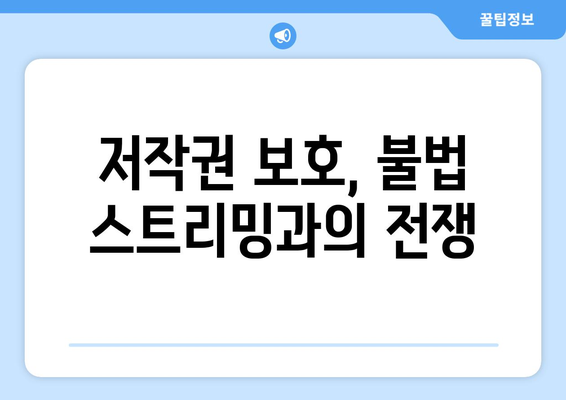 불법 스트리밍 봉쇄: 누누티비 재발 방지 정부 대책