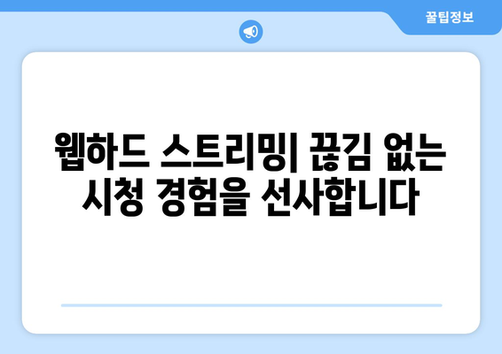 티비위키 대신 웹하드 스트리밍을 이용하는 이점