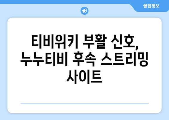 티비위키 부활 신호, 누누티비 후속 스트리밍 사이트