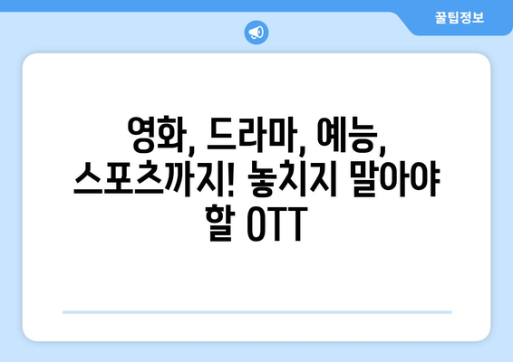 누누티비 대체 사이트: 합법적 OTT 옵션 추천