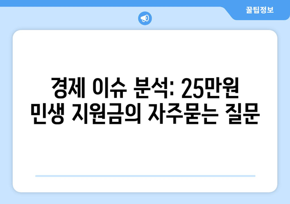 경제 이슈 분석: 25만원 민생 지원금