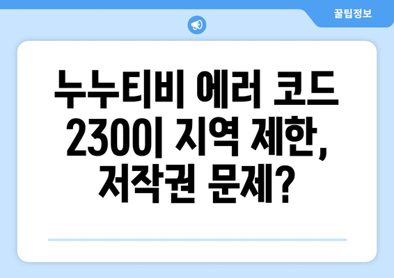 누누티비 에러 코드 2300: 콘텐츠 제한 관련 오류