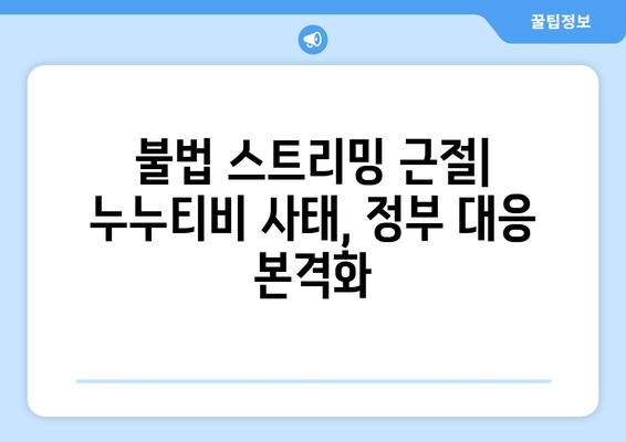 누누티비 재발 방지: 정부, 불법정보 우회 유통 차단 추진