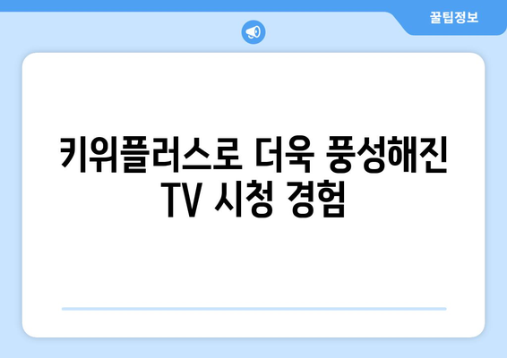 키위플러스 기기로 엠디뮨와 티비스톰 TV 시청 즐기기