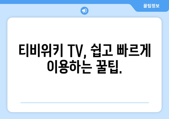 티비위키 TV 우회 사용 방법